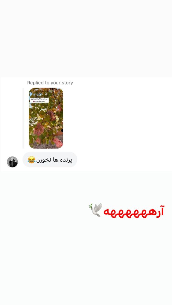  جدید ترین استوری اینستاگرام الهه نصرتی