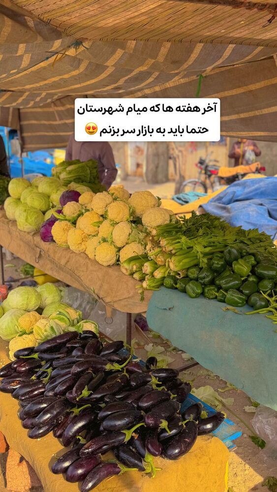  جدید ترین استوری اینستاگرام الهه نصرتی