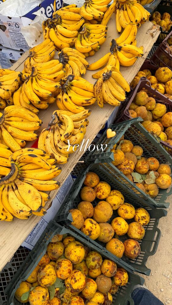  جدید ترین استوری اینستاگرام الهه نصرتی