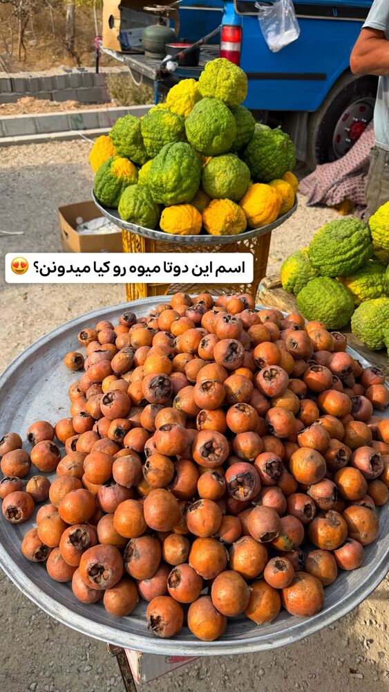  جدید ترین استوری اینستاگرام الهه نصرتی