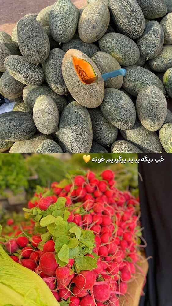  جدید ترین استوری اینستاگرام الهه نصرتی