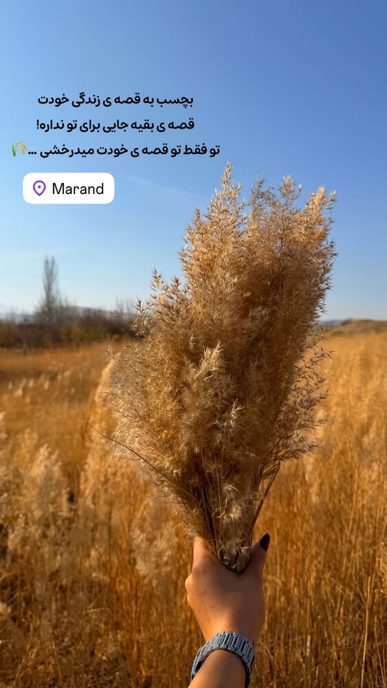  جدید ترین استوری اینستاگرام الهه نصرتی
