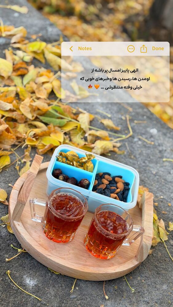  جدید ترین استوری اینستاگرام الهه نصرتی