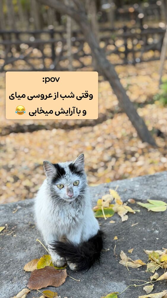  جدید ترین استوری اینستاگرام الهه نصرتی