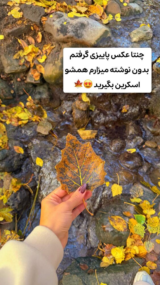  جدید ترین استوری اینستاگرام الهه نصرتی