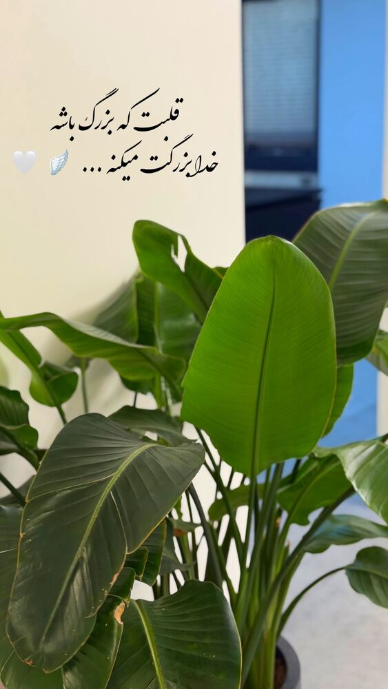  جدید ترین استوری اینستاگرام الهه نصرتی