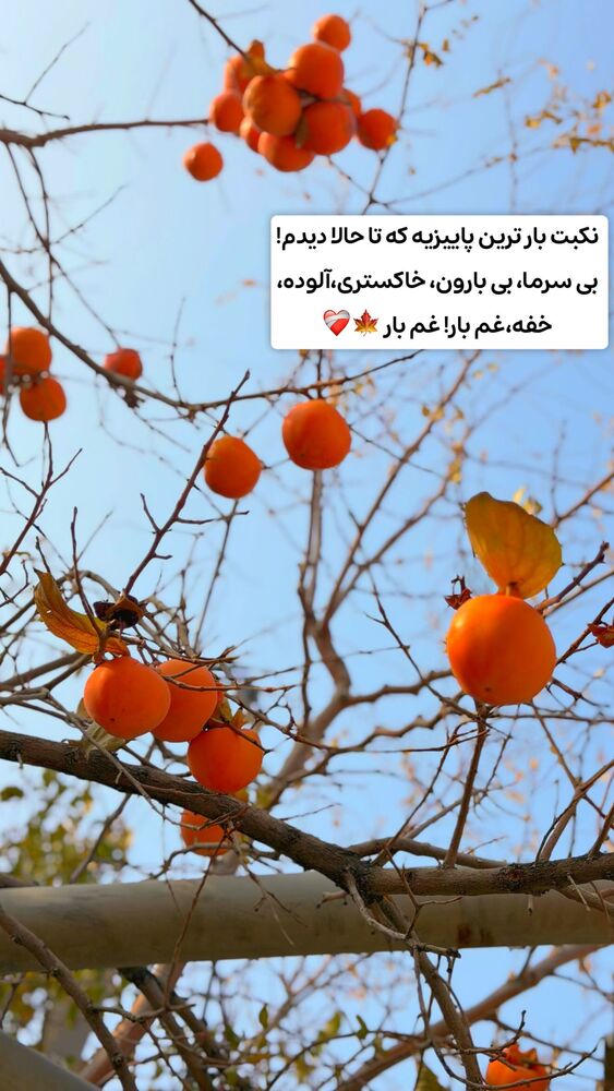  جدید ترین استوری اینستاگرام الهه نصرتی