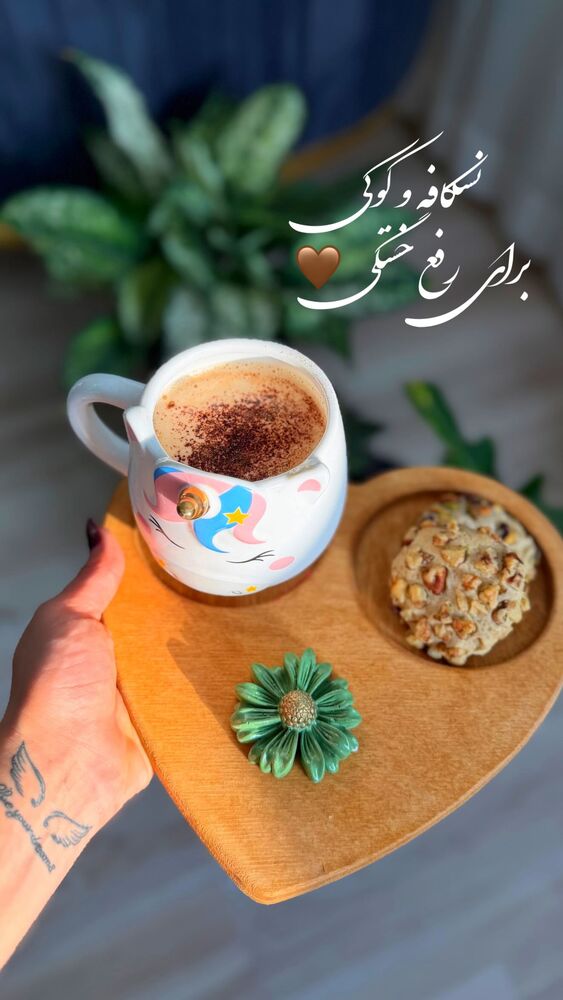  جدید ترین استوری اینستاگرام الهه نصرتی