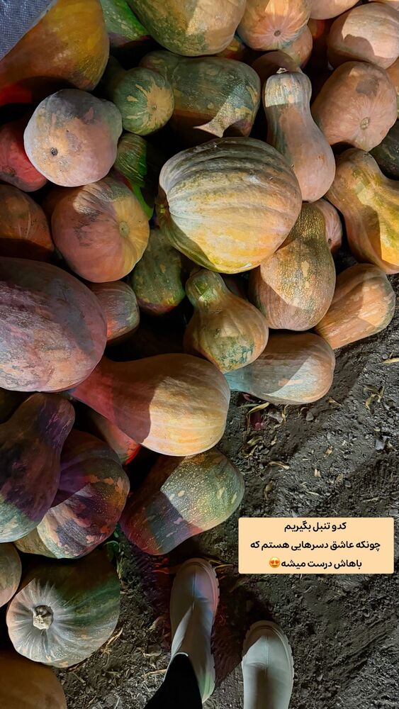  جدید ترین استوری اینستاگرام الهه نصرتی