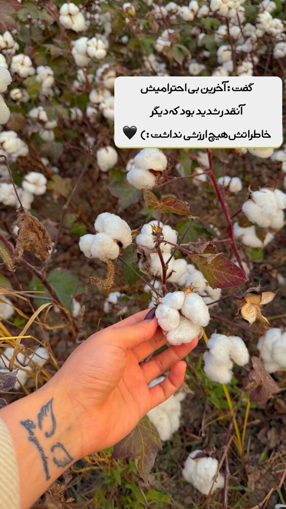  جدید ترین استوری اینستاگرام الهه نصرتی