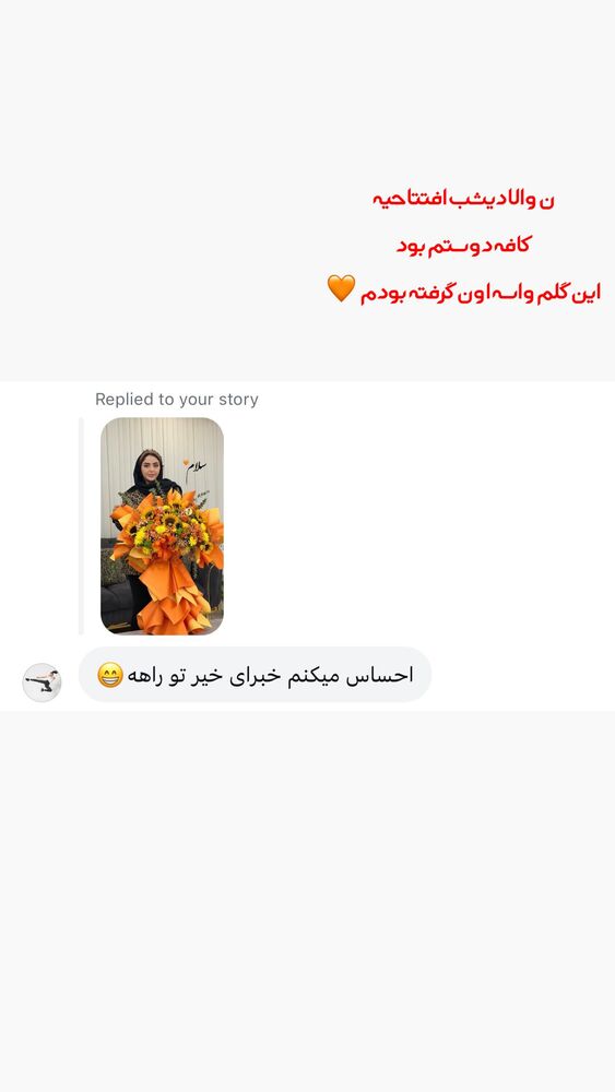  جدید ترین استوری اینستاگرام الهه نصرتی