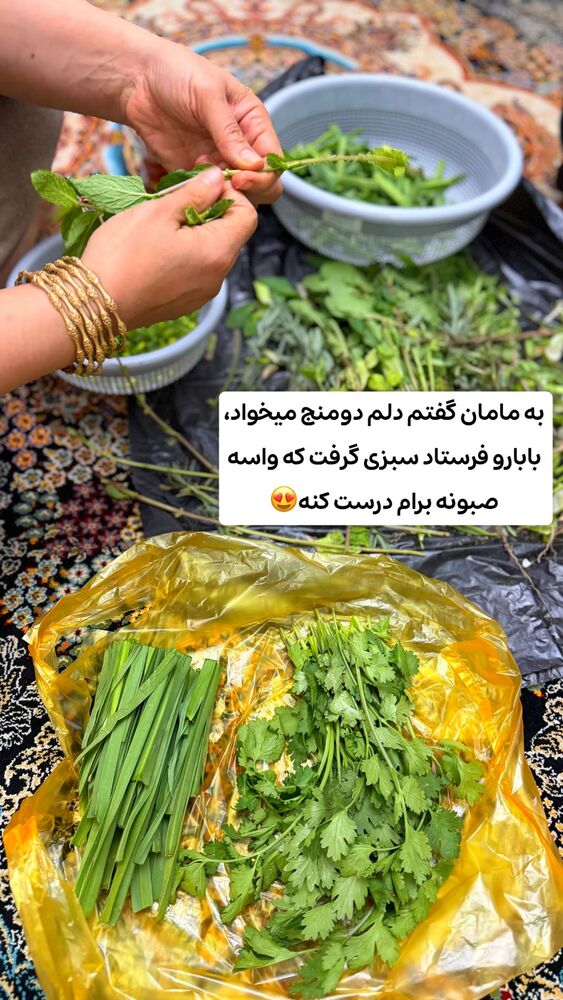  جدید ترین استوری اینستاگرام الهه نصرتی