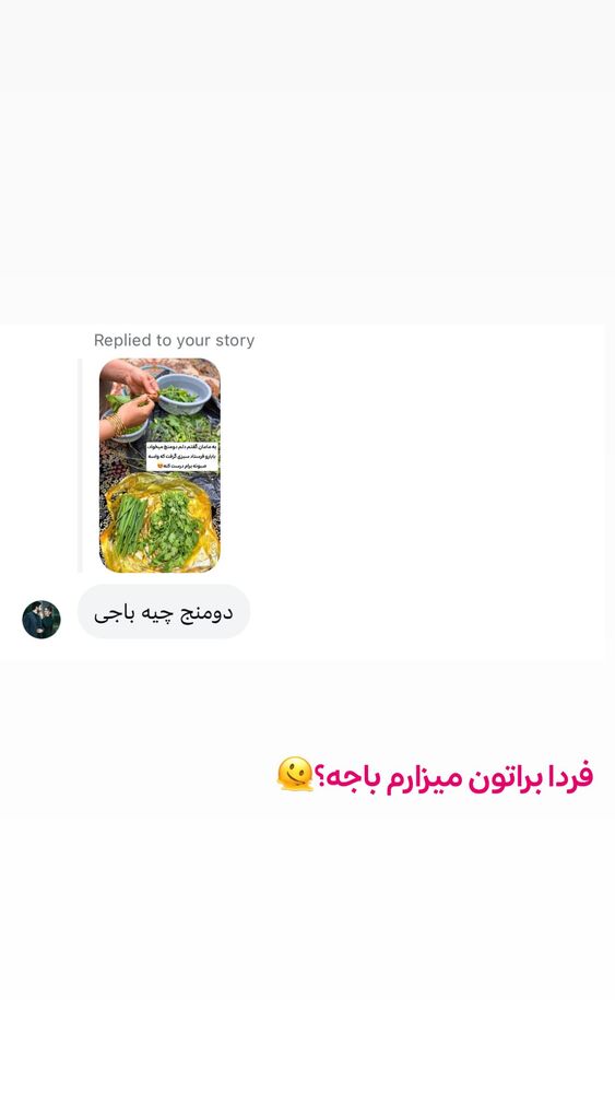  جدید ترین استوری اینستاگرام الهه نصرتی