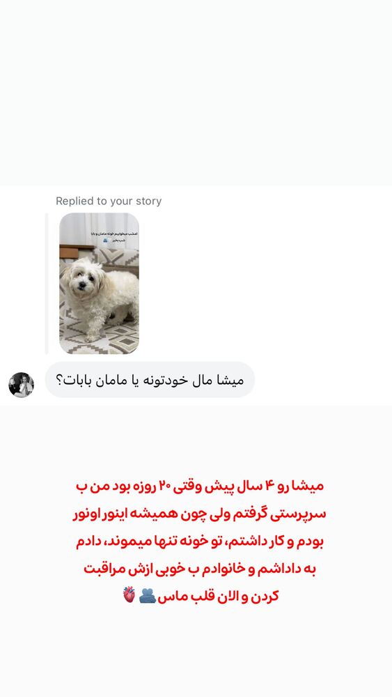  جدید ترین استوری اینستاگرام الهه نصرتی