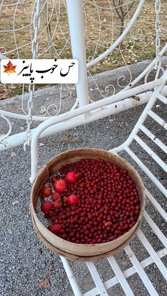  جدید ترین استوری اینستاگرام الهه نصرتی