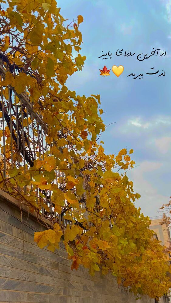  جدید ترین استوری اینستاگرام الهه نصرتی