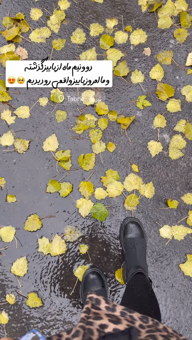  جدید ترین استوری اینستاگرام الهه نصرتی