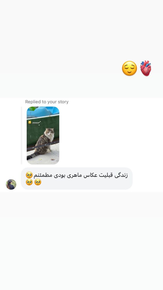  جدید ترین استوری اینستاگرام الهه نصرتی