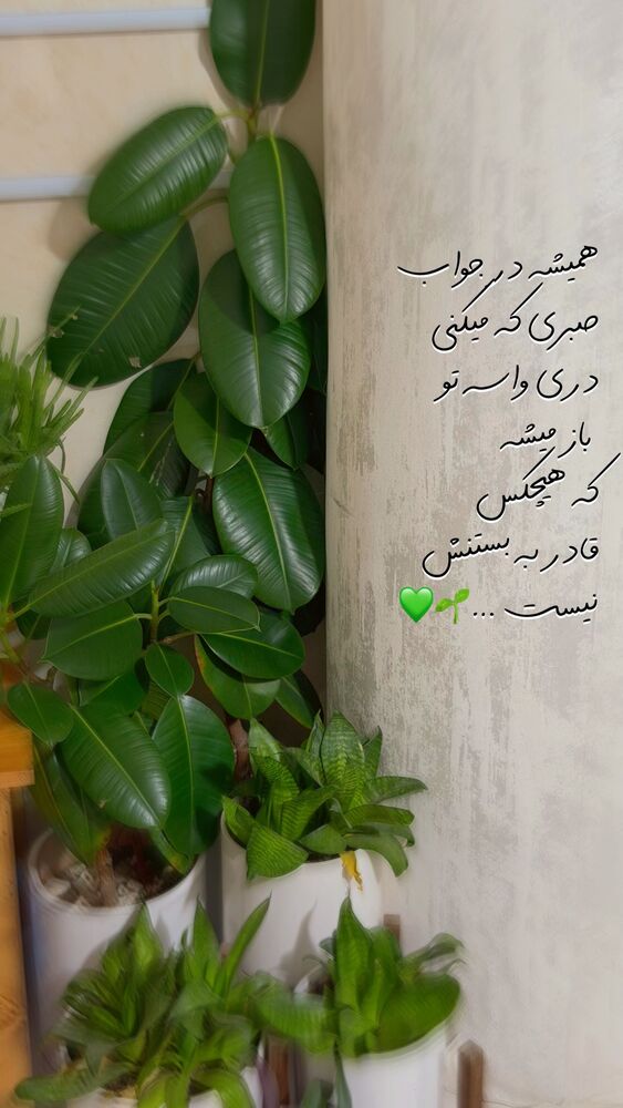  جدید ترین استوری اینستاگرام الهه نصرتی