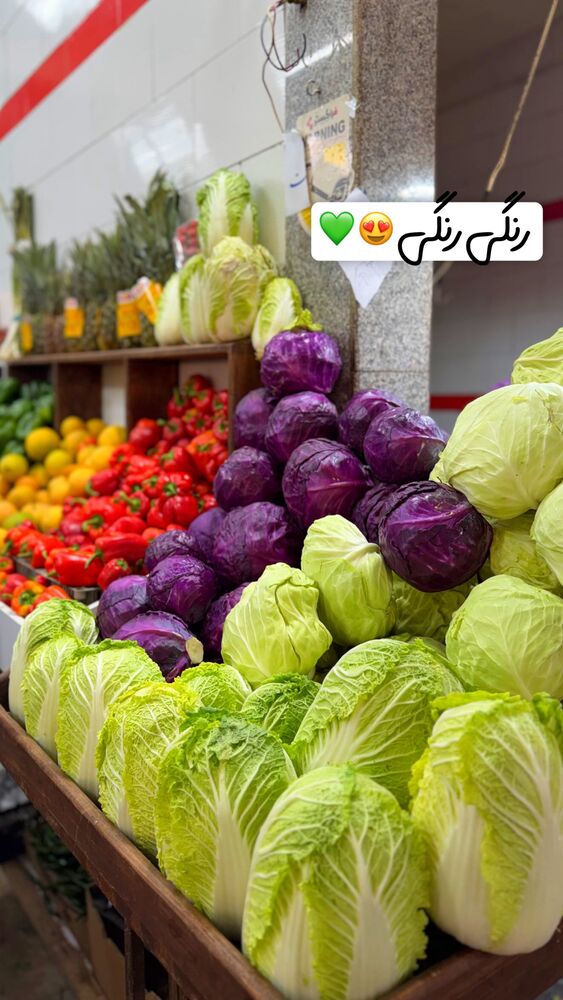  جدید ترین استوری اینستاگرام الهه نصرتی