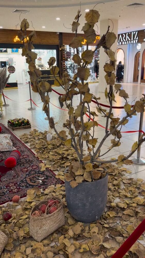  جدید ترین استوری اینستاگرام الهه نصرتی
