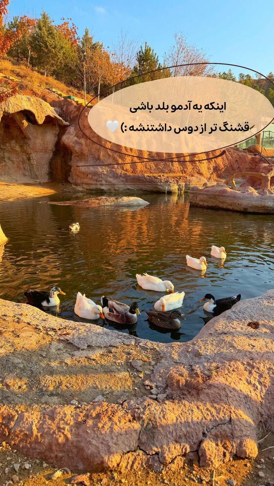  جدید ترین استوری اینستاگرام الهه نصرتی
