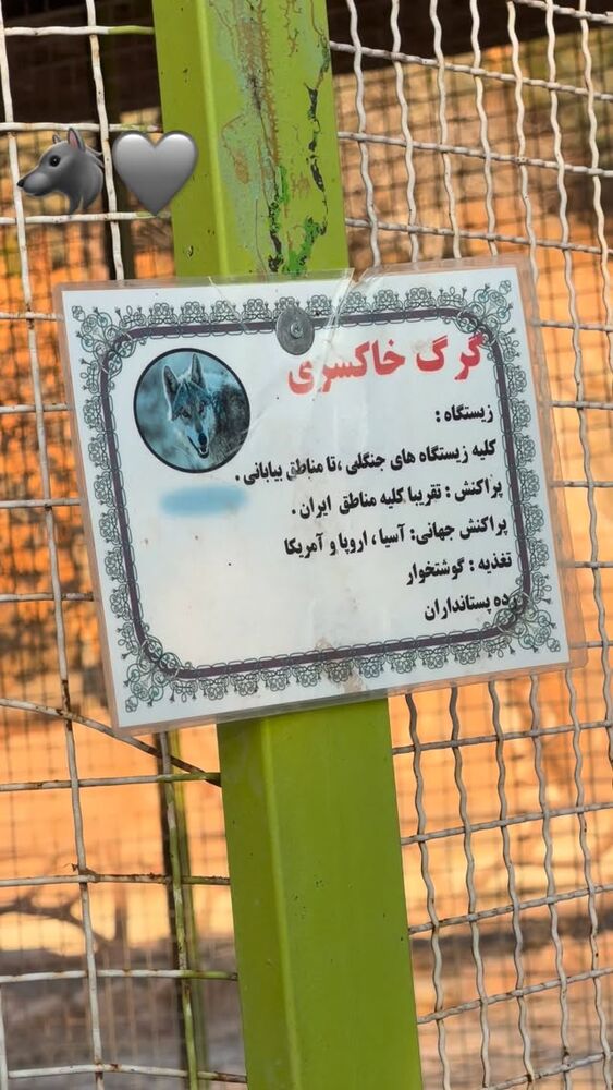  جدید ترین استوری اینستاگرام الهه نصرتی