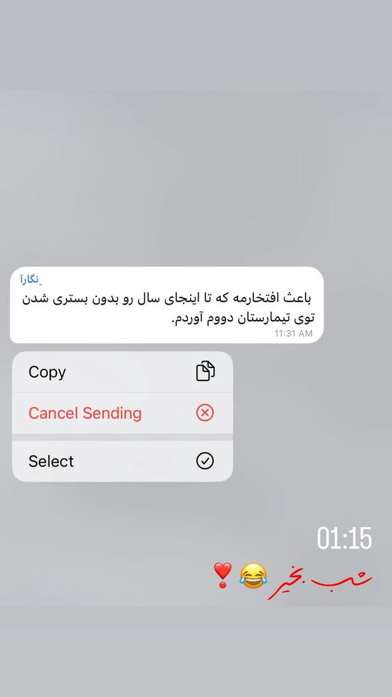  جدید ترین استوری اینستاگرام الهه نصرتی
