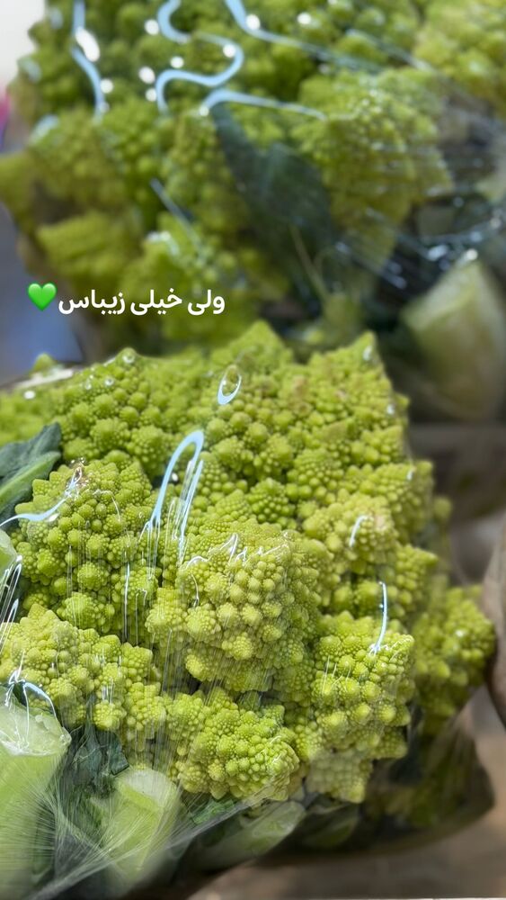  جدید ترین استوری اینستاگرام الهه نصرتی