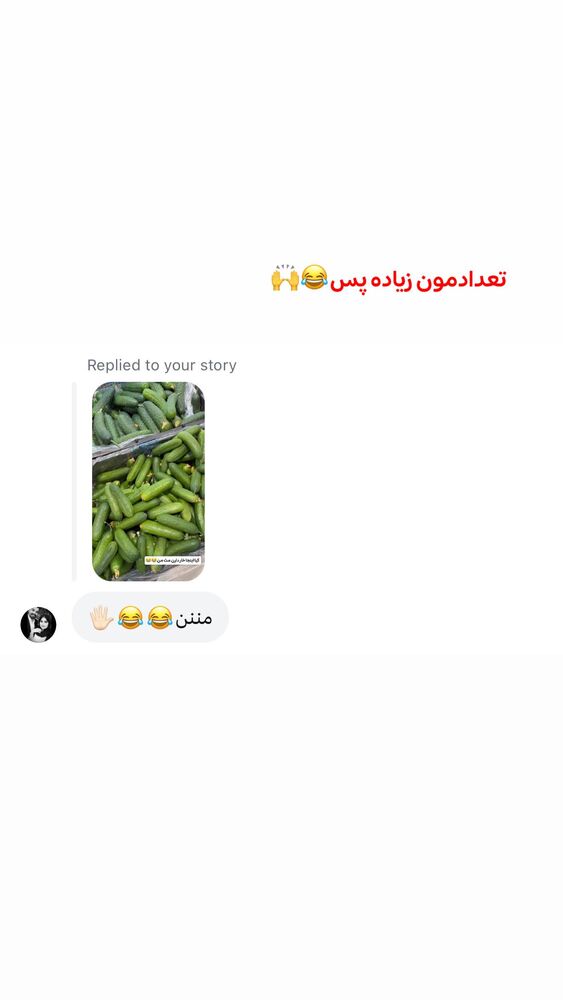  جدید ترین استوری اینستاگرام الهه نصرتی