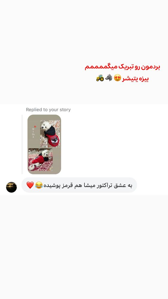  جدید ترین استوری اینستاگرام الهه نصرتی