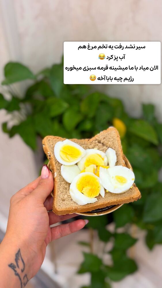  جدید ترین استوری اینستاگرام الهه نصرتی