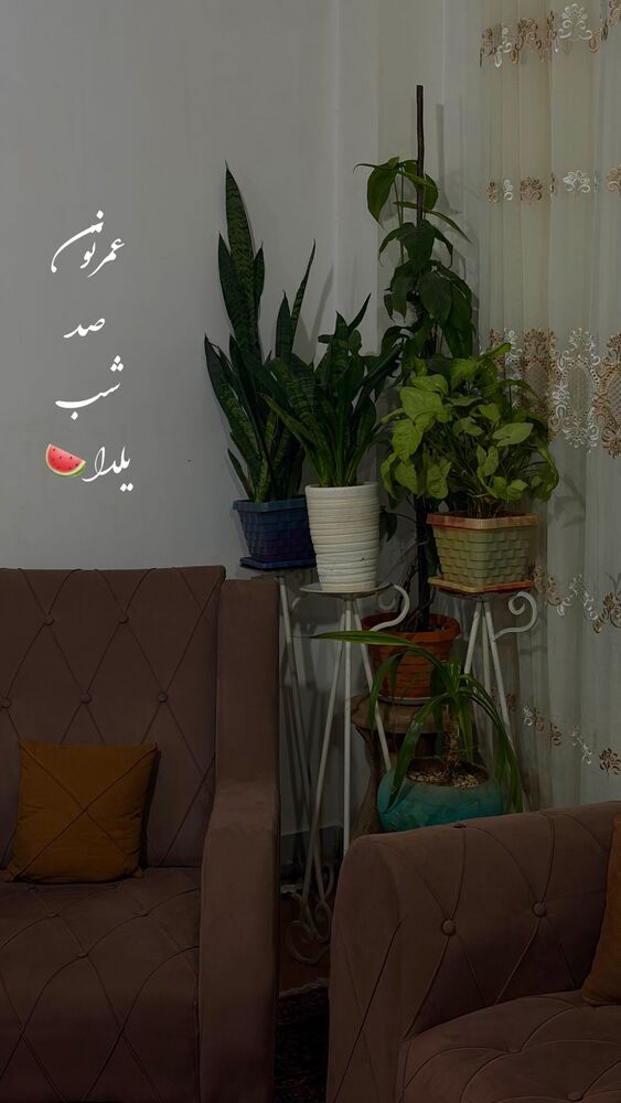  جدید ترین استوری اینستاگرام الهه نصرتی
