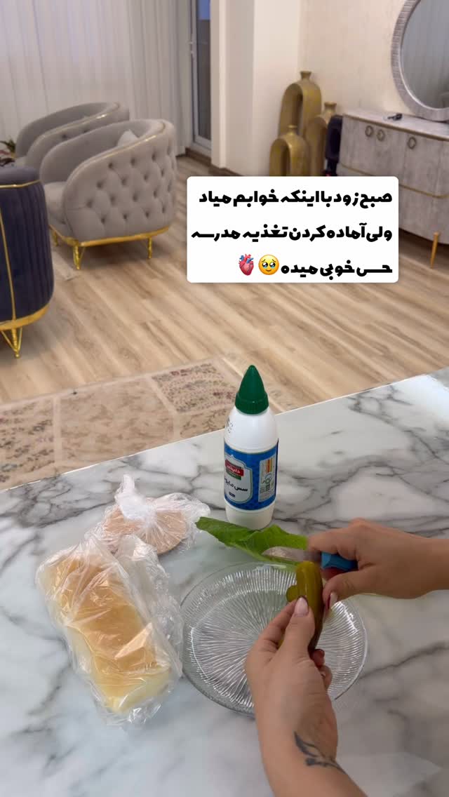  جدید ترین استوری اینستاگرام الهه نصرتی