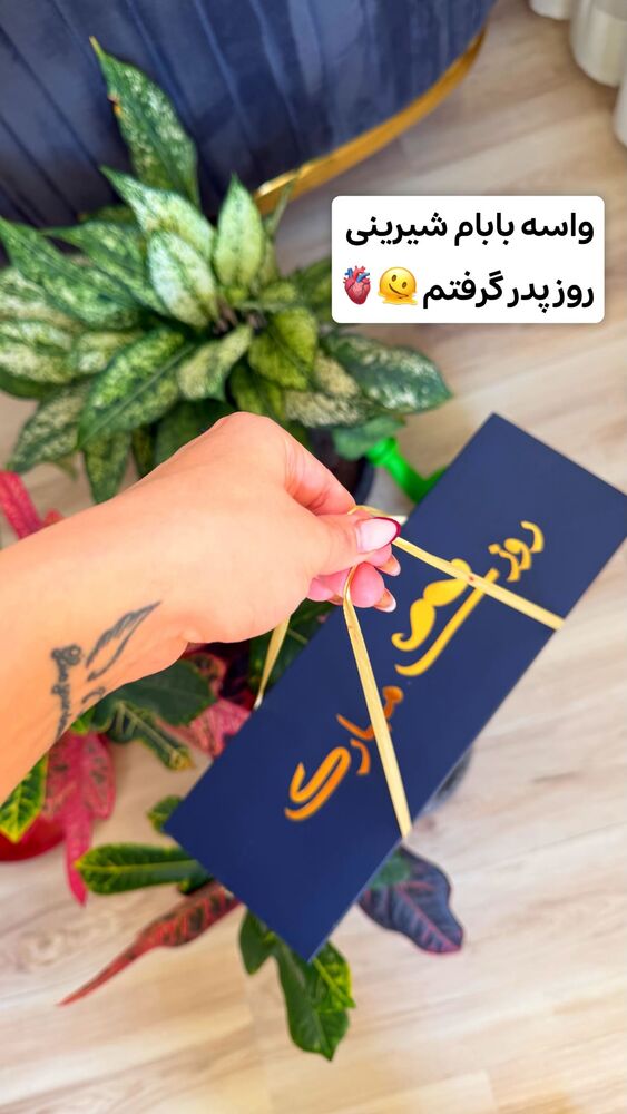  جدید ترین استوری اینستاگرام الهه نصرتی