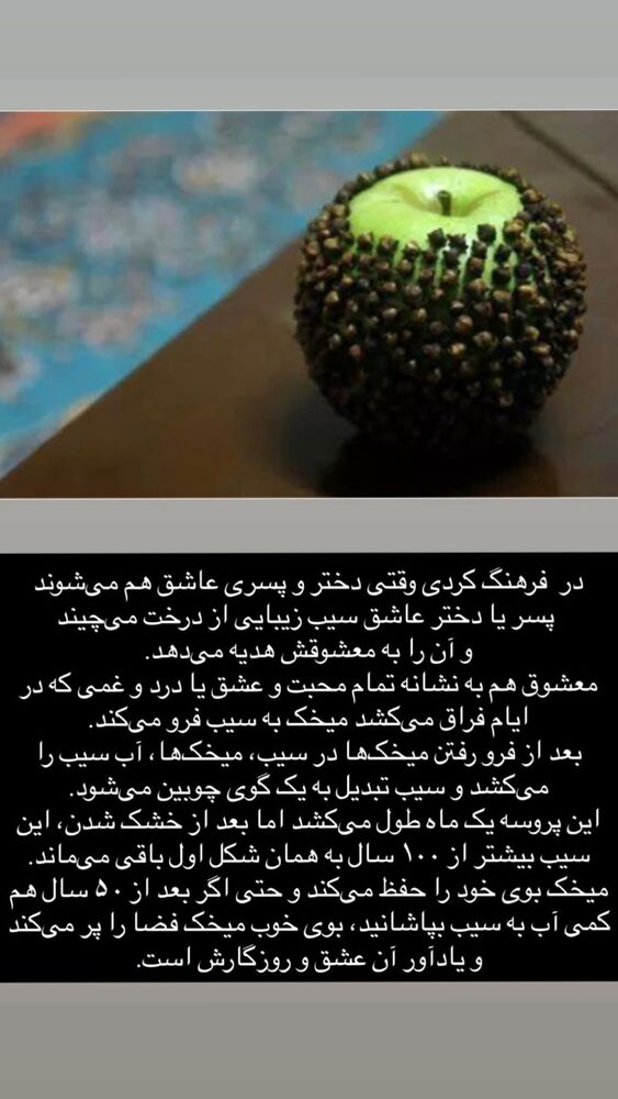  جدید ترین استوری اینستاگرام الهه پورجمشيد