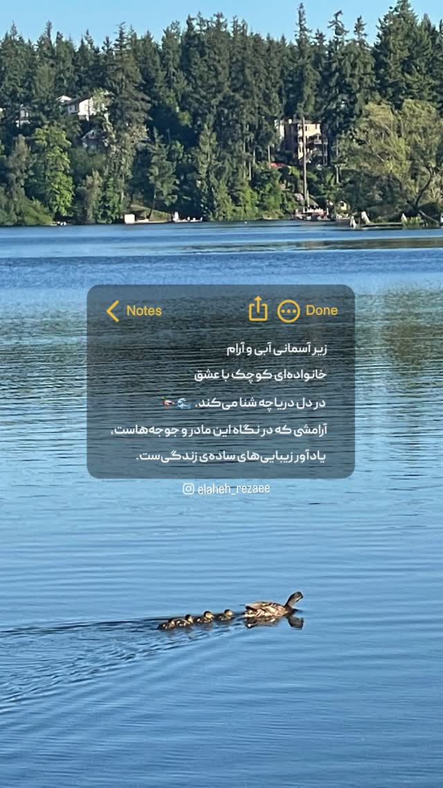  جدید ترین استوری اینستاگرام الهه رضایی
