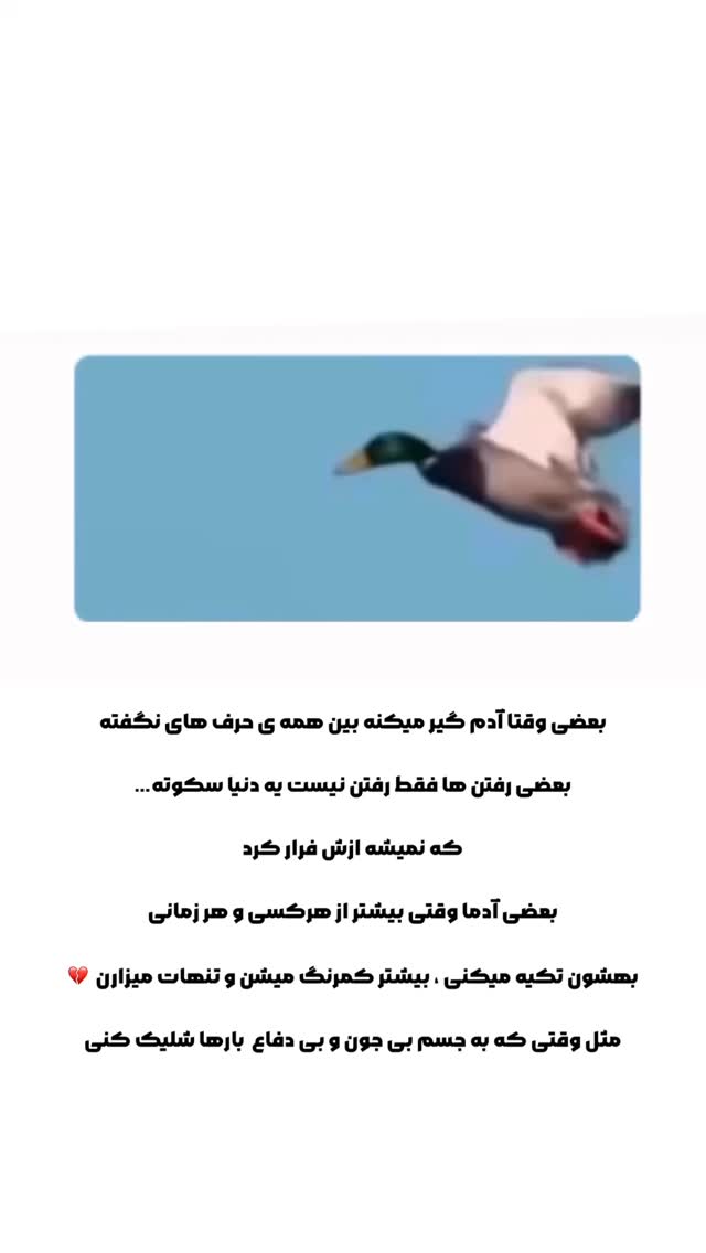 جدید ترین استوری اینستاگرام الهام غلامیان
