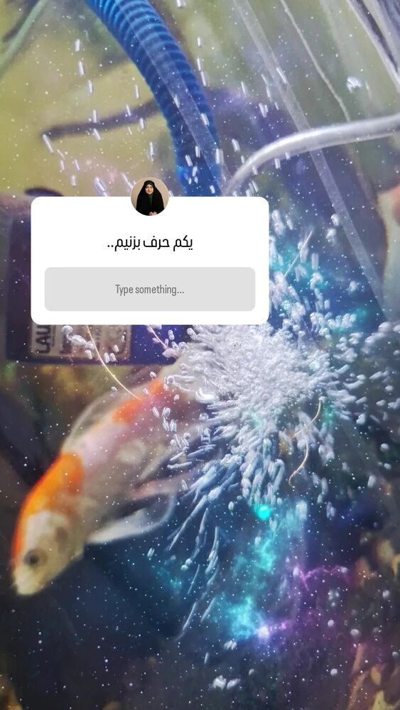  جدید ترین استوری اینستاگرام الهام هادی نژاد