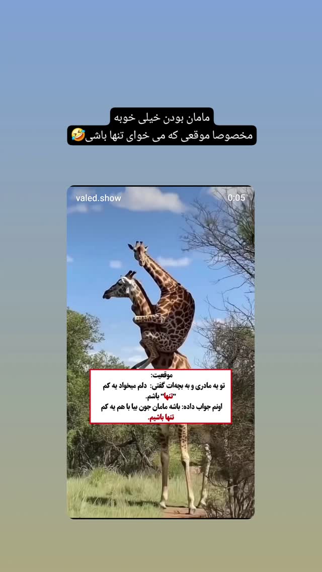  جدید ترین استوری اینستاگرام الهام هادی نژاد