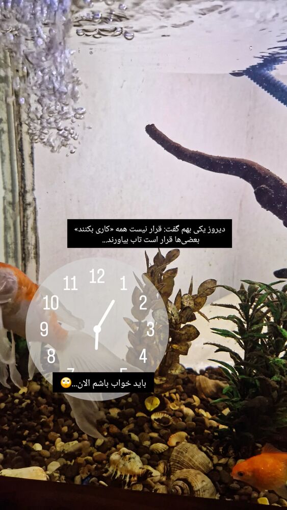  جدید ترین استوری اینستاگرام الهام هادی نژاد