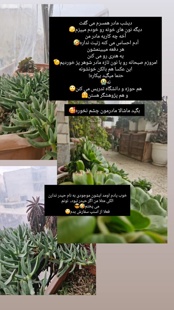  جدید ترین استوری اینستاگرام الهام هادی نژاد