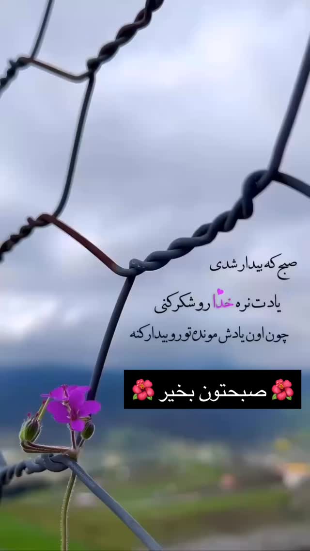  جدید ترین استوری اینستاگرام الهام حمیدی
