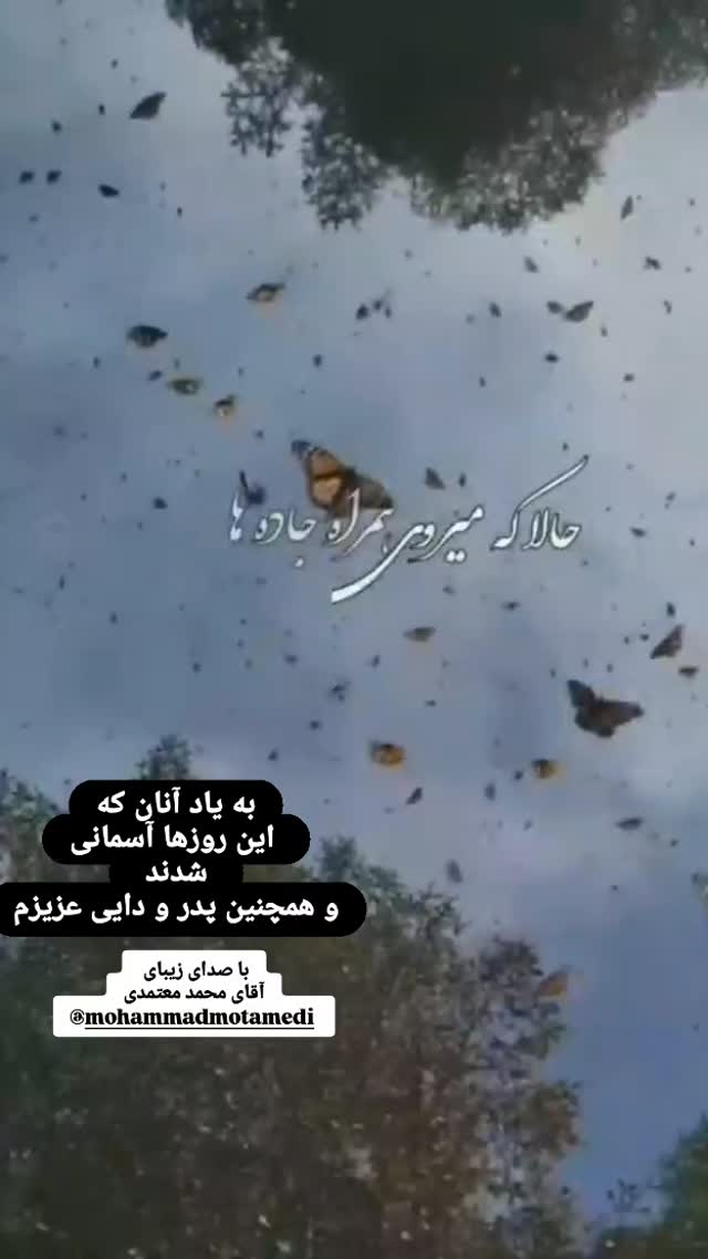  جدید ترین استوری اینستاگرام الهام حسین زاده