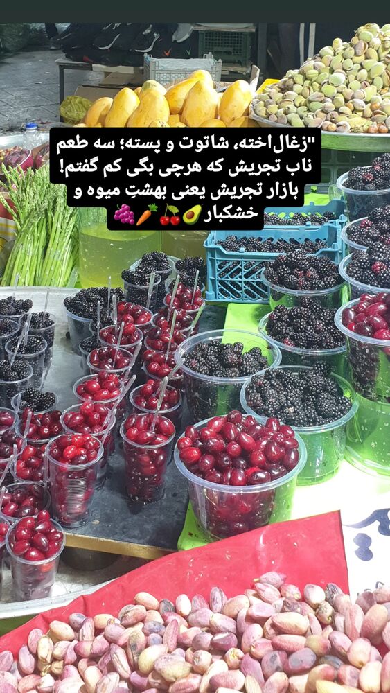  جدید ترین استوری اینستاگرام الهام حسین زاده