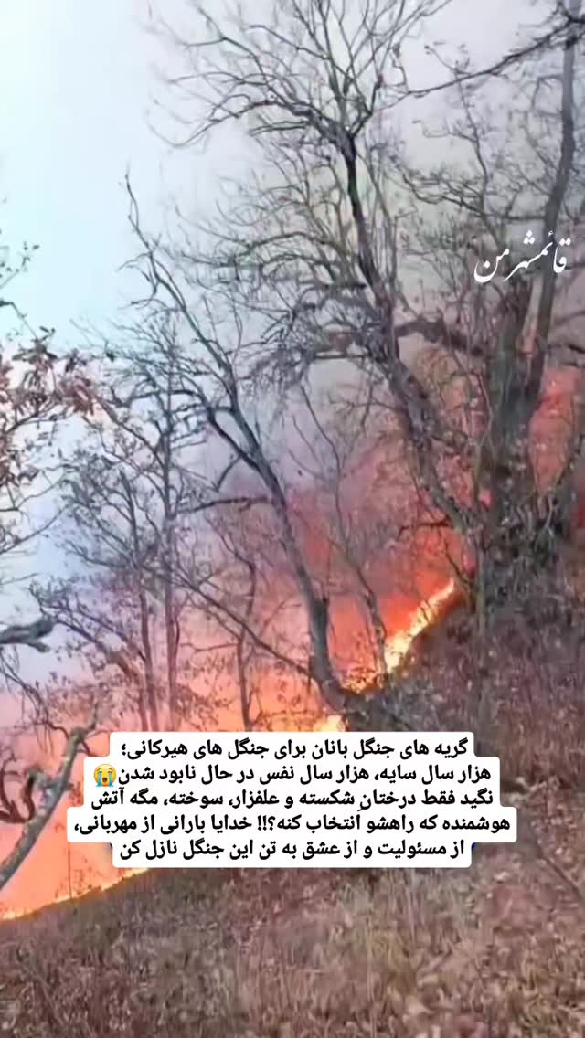  جدید ترین استوری اینستاگرام الهام حسین زاده
