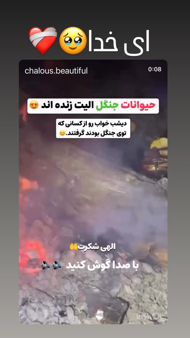  جدید ترین استوری اینستاگرام الهام پاوه نژاد