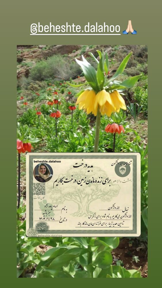  جدید ترین استوری اینستاگرام الهام پاوه نژاد