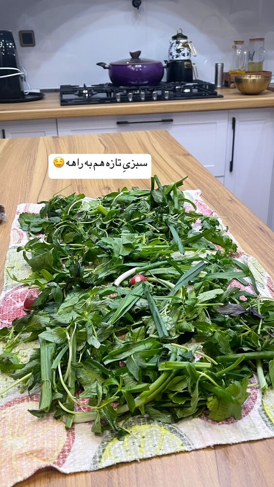  جدید ترین استوری اینستاگرام الهام طهماسبی
