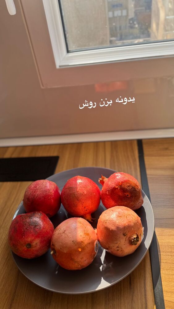  جدید ترین استوری اینستاگرام الهام طهماسبی